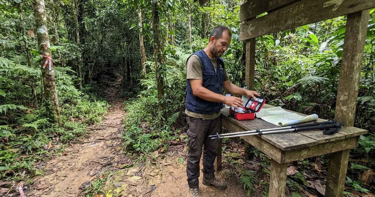 Is jungle trekking and outdoor touring in Malaysia safe? What to know first